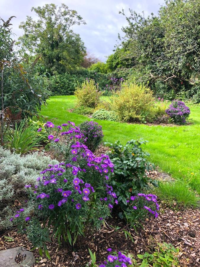 Dingle Garden Townhouse Bed & Breakfast Bagian luar foto The gardens at the centre