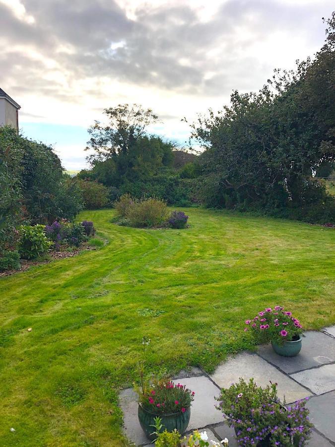 Dingle Garden Townhouse Bed & Breakfast Bagian luar foto The garden of the house