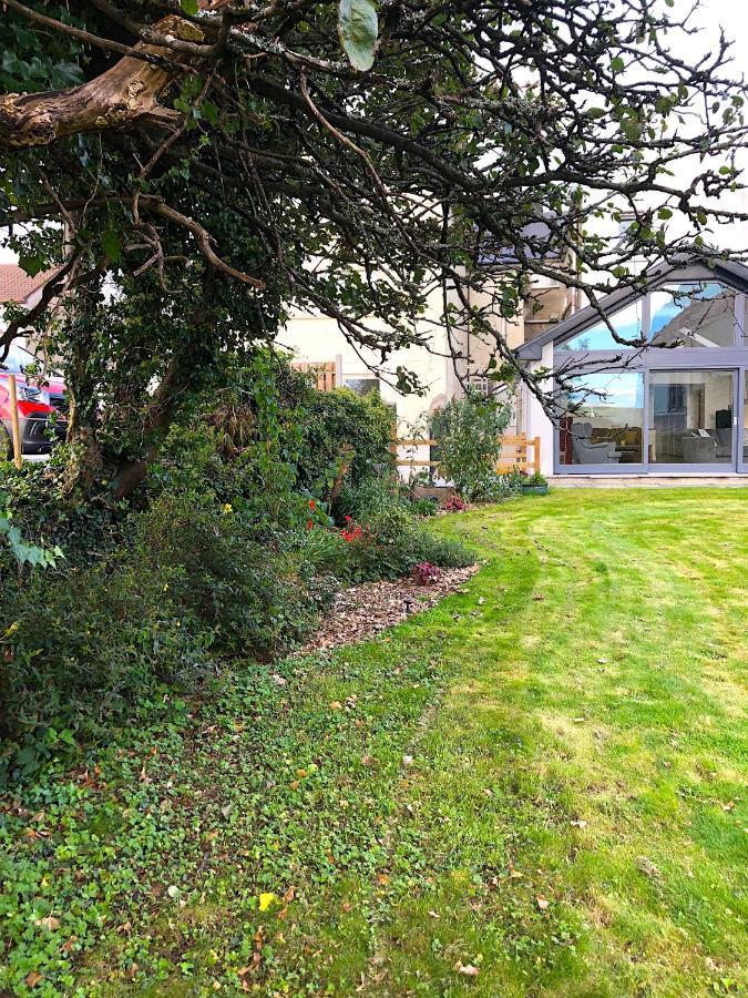 Dingle Garden Townhouse Bed & Breakfast Bagian luar foto The garden of the house