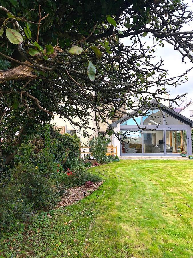 Dingle Garden Townhouse Bed & Breakfast Bagian luar foto The garden of the house